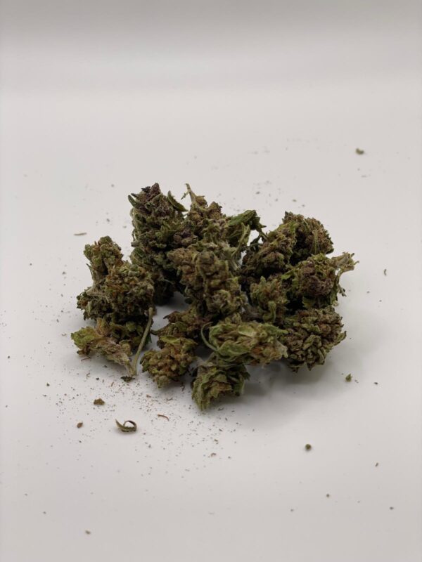 Skunk